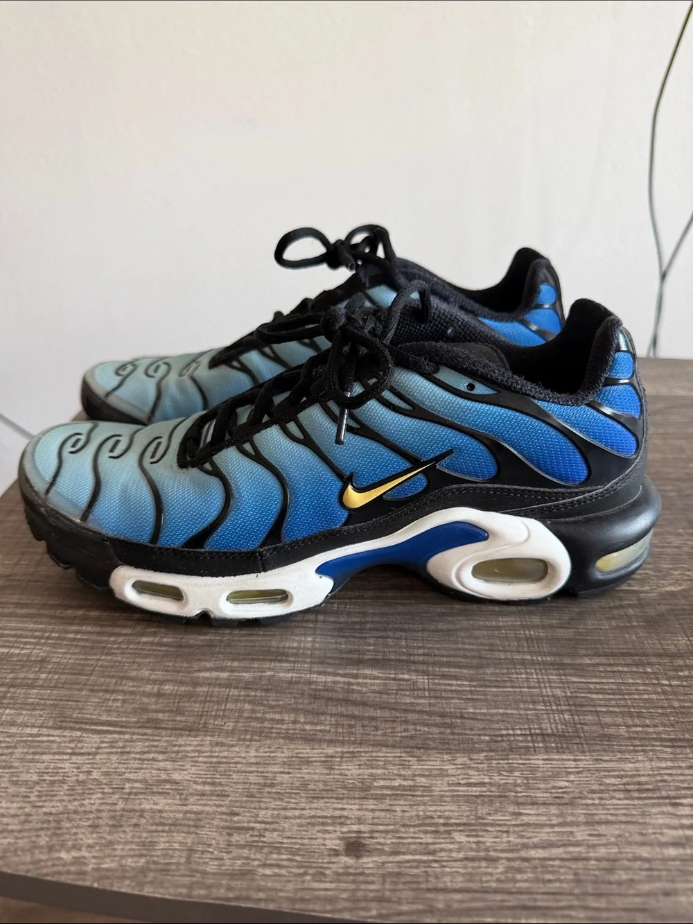 Nike Airmax Plus Blue Gradient Sneakers with Black Trim